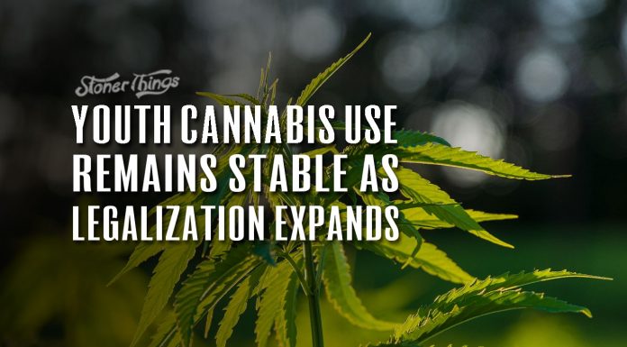 youth cannabis use remains stable as legalizaton expands