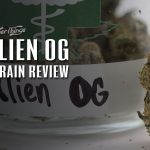 Alien OG Strain Review