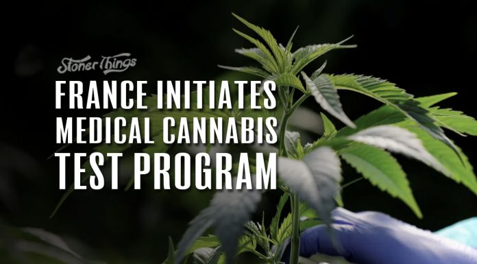 france medical cannabis test program