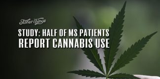 multiple sclerosis patients cannabis use