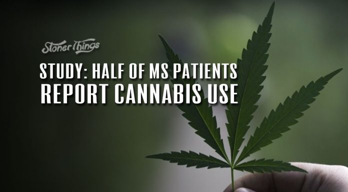multiple sclerosis patients cannabis use