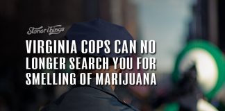 virginia cops cant search you for marijuana