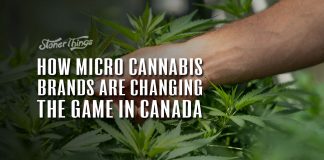 micro cannabis brands canada