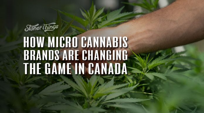 micro cannabis brands canada