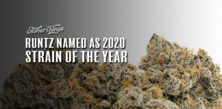 runtz weed strain
