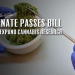 senate passes bill expand marijuana research