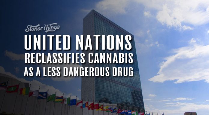 united nations reclassifies cannabis as less harmful drug