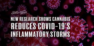 cannabis covid 19 cytokine storms