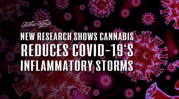 cannabis covid 19 cytokine storms