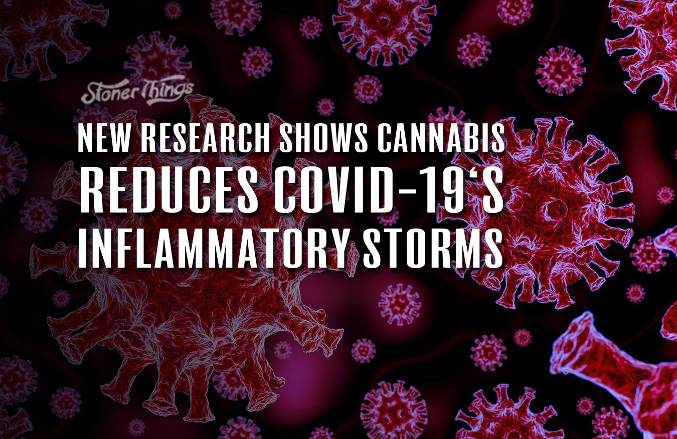 cannabis covid 19 cytokine storms