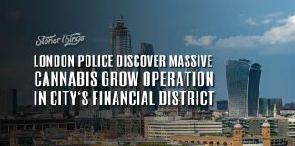 cannabis grow operation discovered london city