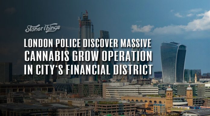 cannabis grow operation discovered london city