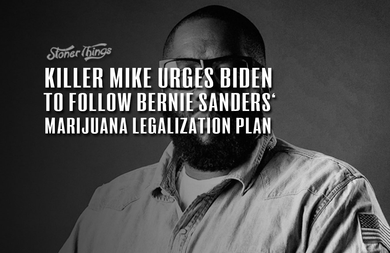 killer mike joe biden bernie sanders legalization plan