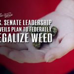 U.S. Senate Leadership Unveils Plan to Federally Legalize Weed
