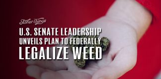 U.S. Senate Leadership Unveils Plan to Federally Legalize Weed