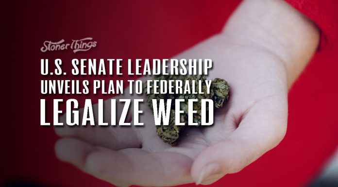 U.S. Senate Leadership Unveils Plan to Federally Legalize Weed