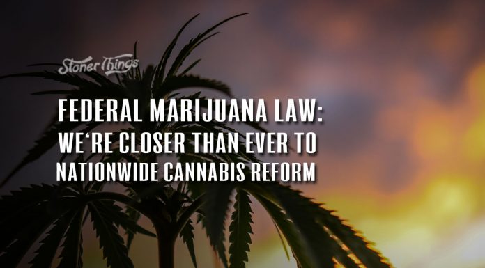 federal marijuana law