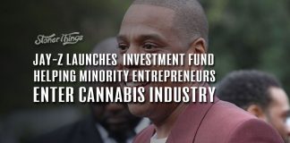 jay z cannabis investment fund