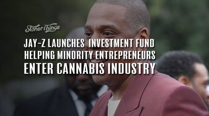 jay z cannabis investment fund