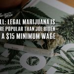 poll legal marijuana popularity