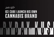FryDay Kush Ice Cube Cannabis Brand