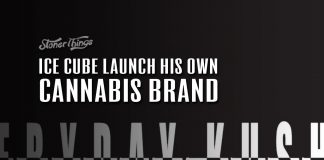 FryDay Kush Ice Cube Cannabis Brand
