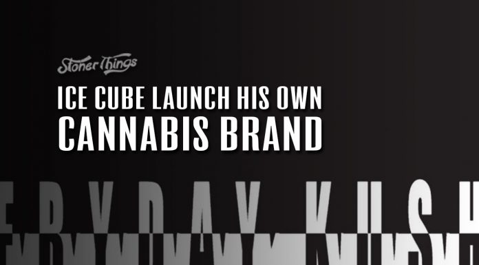FryDay Kush Ice Cube Cannabis Brand
