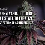 Pennsylvania legalize recreational marijuana use