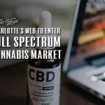 charlottes web full spectrum cannabis market