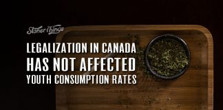 legalization canada youth consumption rates