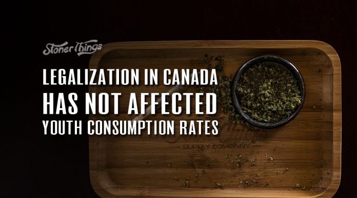 legalization canada youth consumption rates