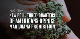 Three Quarters Americans Oppose Marijuana Prohibition