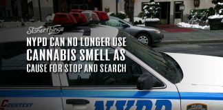 nypd cannabis stop and search