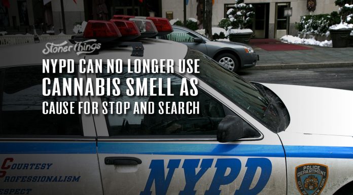 nypd cannabis stop and search