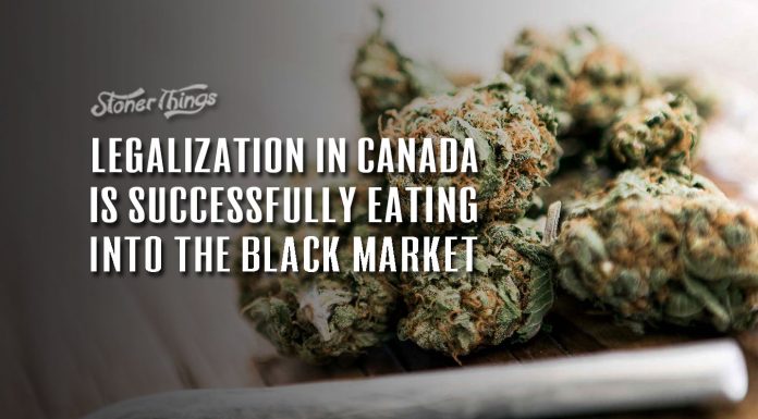 Study Shows Legalization in Canada Is Successfully Eating Away at the Black Market Legalization in Canada Is Successfully Eating Away at the Black Market