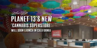 Planet 13 California