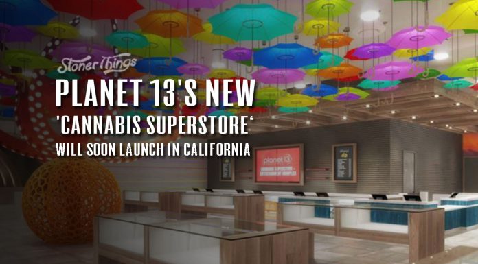 Planet 13 California