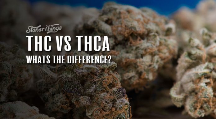 THC vs THCa Cannabinoids