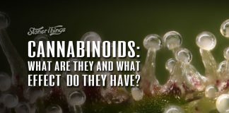 cannabinoids