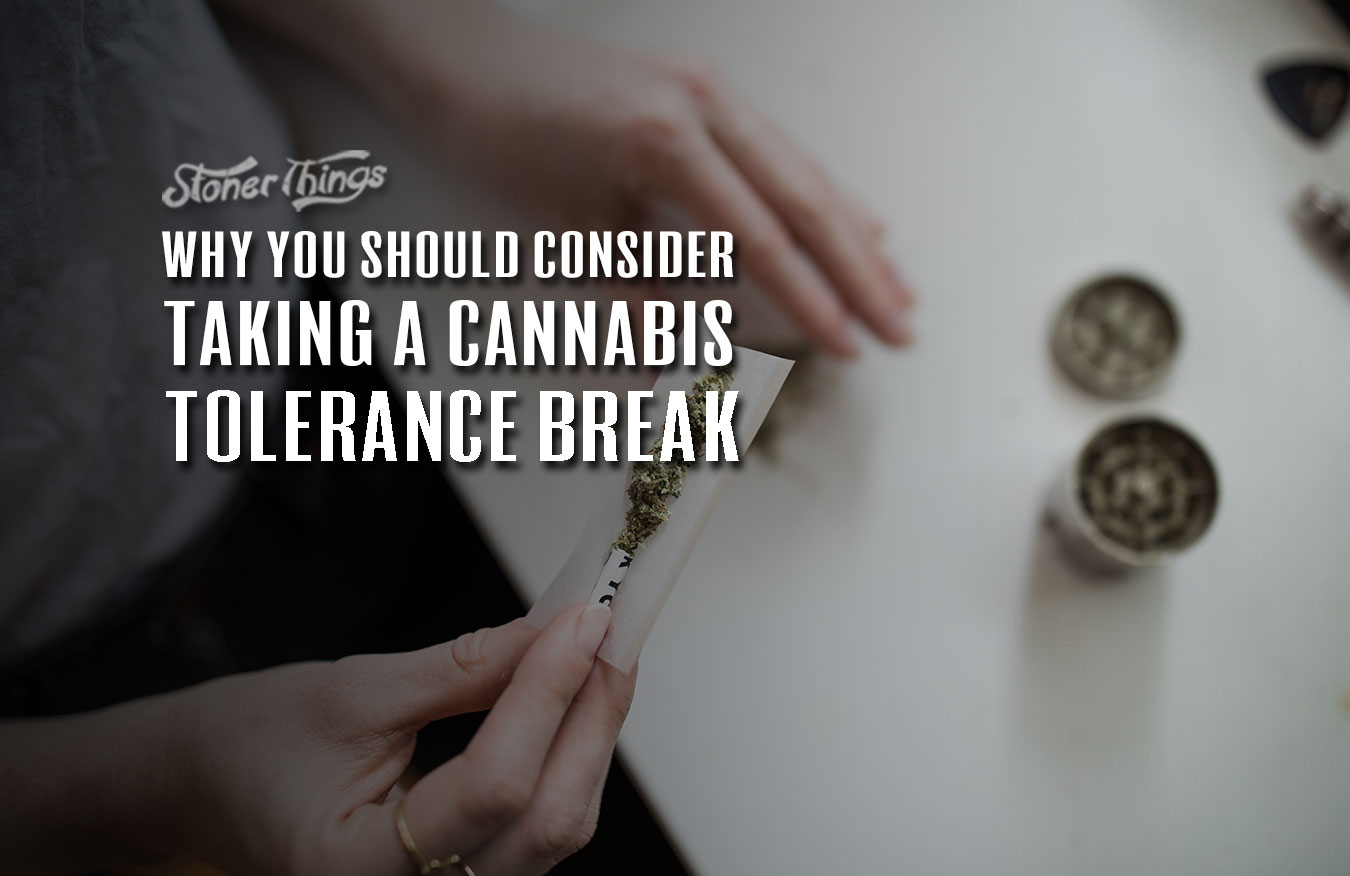 cannabis tolerance break