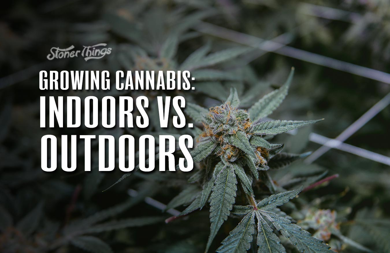 growing cannabis indoors vs outdoors