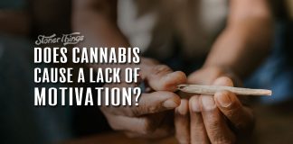cannabis motivation