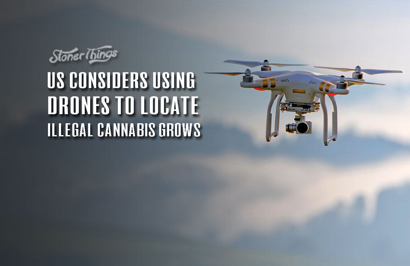 drones locate illegal cannabis grows
