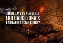 barcelona cannabis social clubs