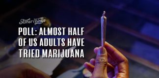 half us adults tried marijuana
