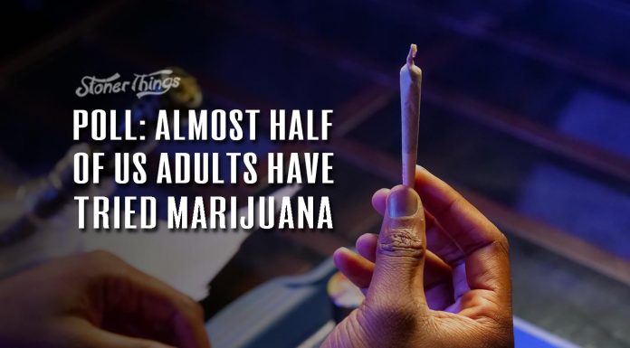 half us adults tried marijuana