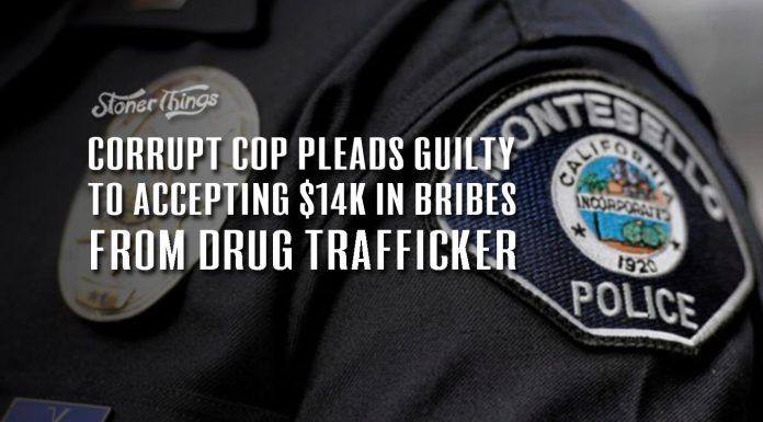 corrupt cop guilty bribe