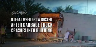 michigan illegal weed grow busted