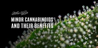 minor cannabinoids rare cannabinoids