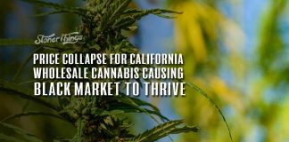 price collapsose california wholesale cannabis